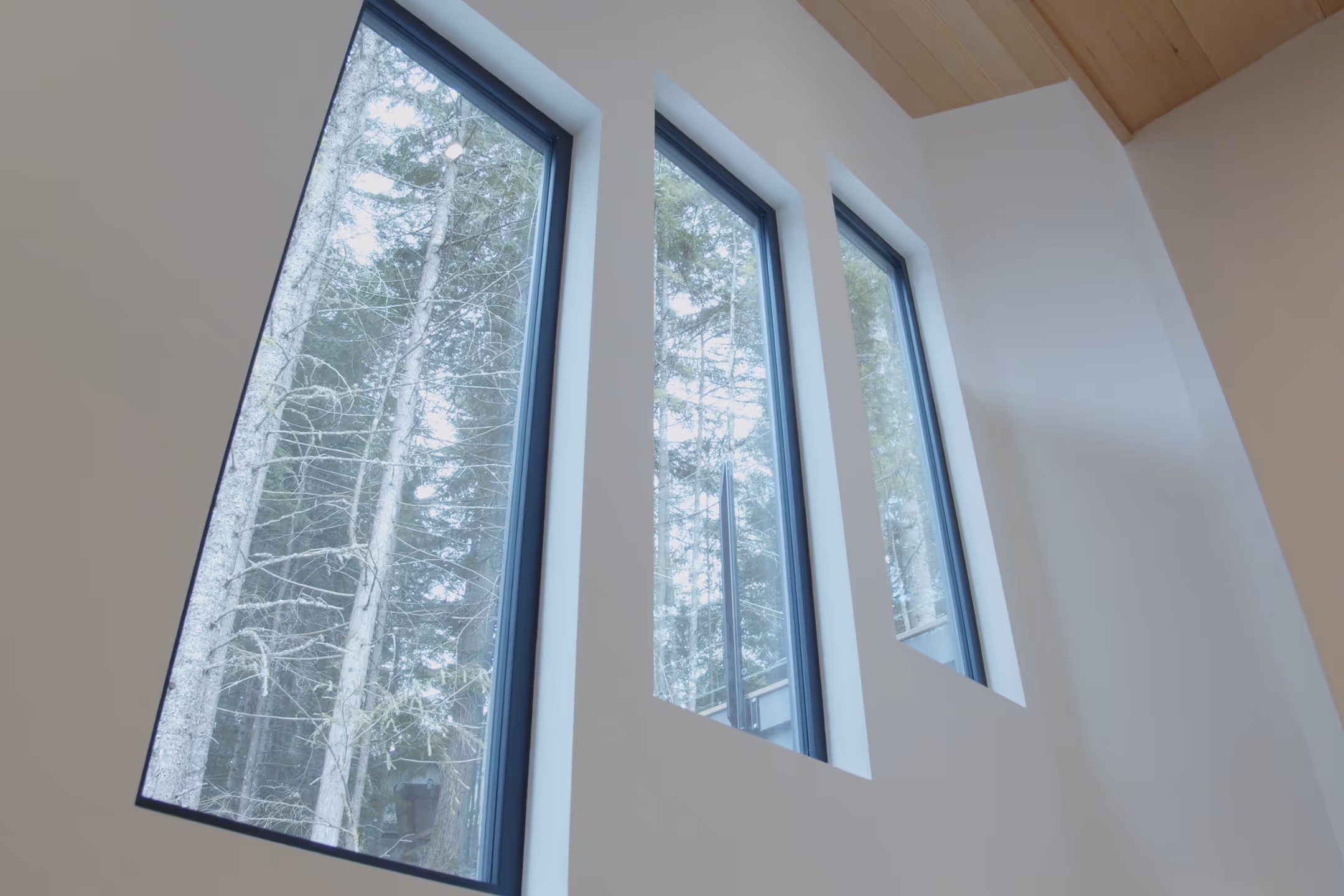 Whistler gallery image 6